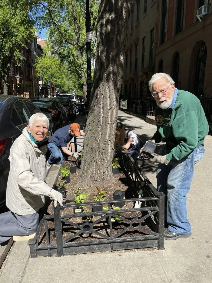 Planting Day